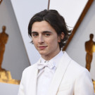 90th_Academy_Awards_-_Arrivals_26555.jpg