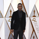 90th_Academy_Awards_-_Arrivals_43810.jpg