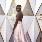 90th_Academy_Awards_-_Arrivals_86827.jpg