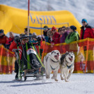 20180304_fmt_Schlittenhunderennen_pp4.jpg