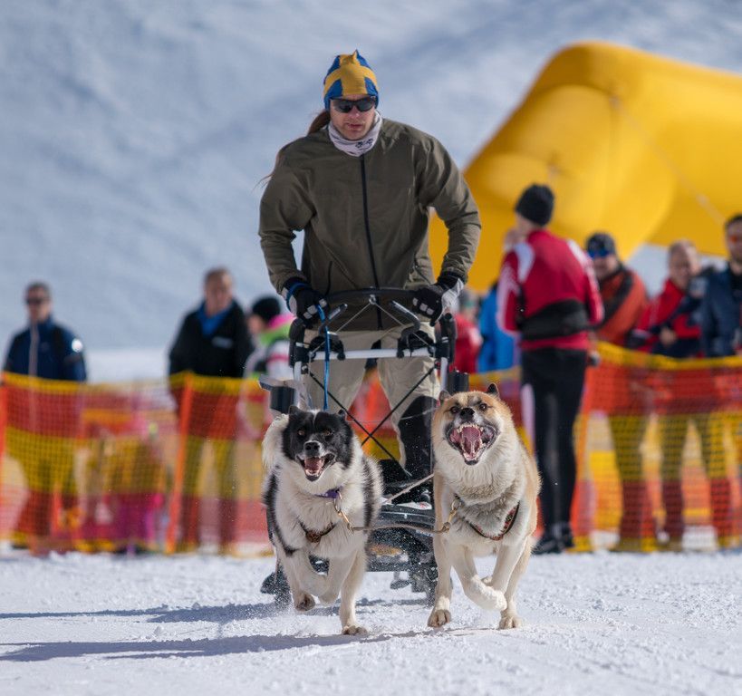 20180304_fmt_Schlittenhunderennen_pp5.jpg