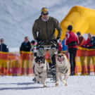 20180304_fmt_Schlittenhunderennen_pp5.jpg