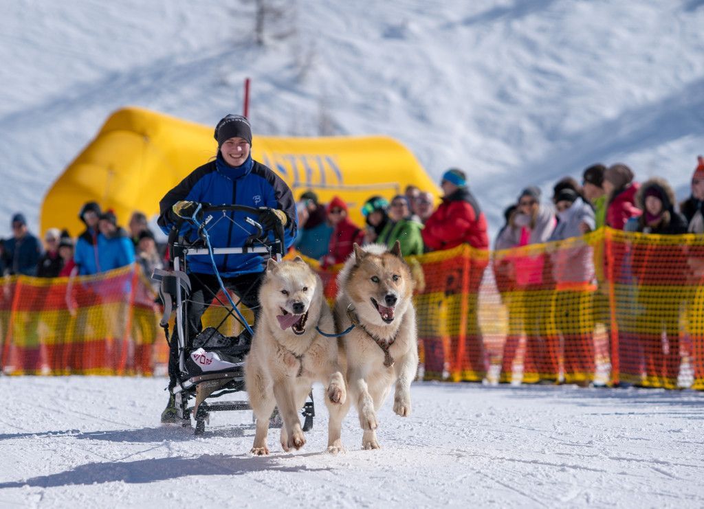 20180304_fmt_Schlittenhunderennen_pp6.jpg