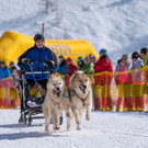20180304_fmt_Schlittenhunderennen_pp6.jpg
