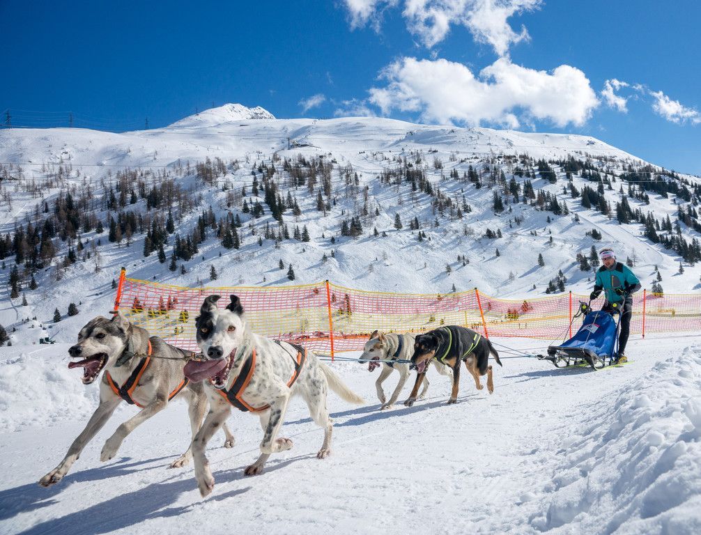 20180304_fmt_Schlittenhunderennen_pp8.jpg