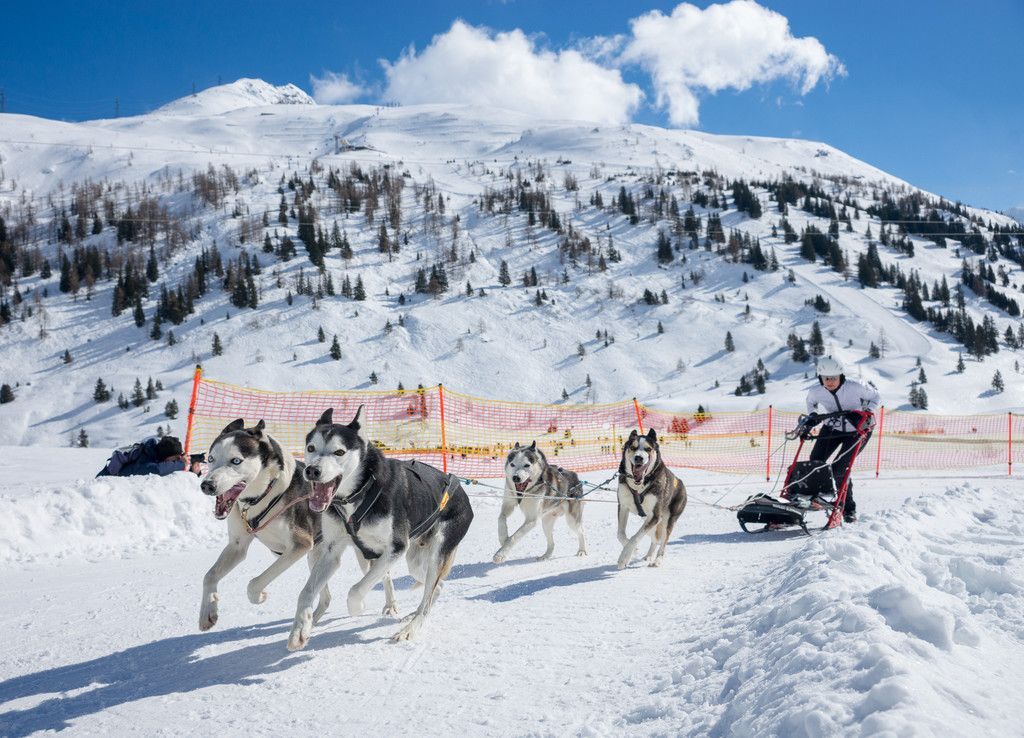 20180304_fmt_Schlittenhunderennen_pp10.jpg