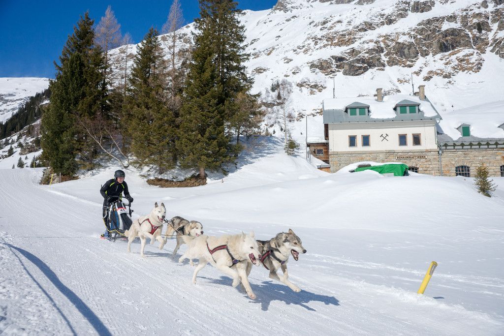 20180304_fmt_Schlittenhunderennen_pp12.jpg