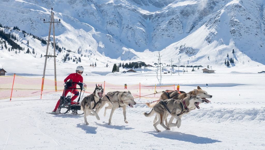 20180304_fmt_Schlittenhunderennen_pp13.jpg