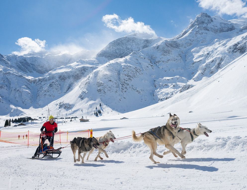 20180304_fmt_Schlittenhunderennen_pp14.jpg