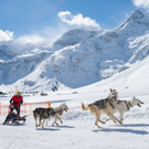 20180304_fmt_Schlittenhunderennen_pp14.jpg