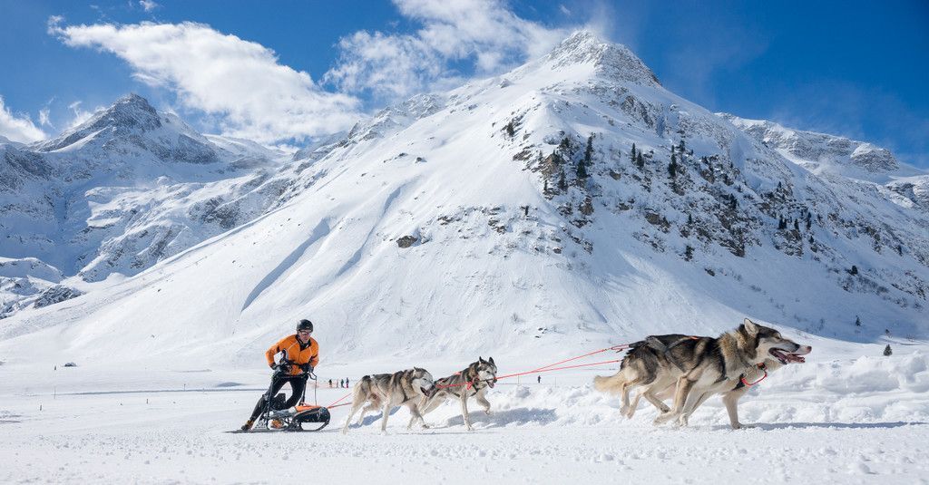 20180304_fmt_Schlittenhunderennen_pp16.jpg