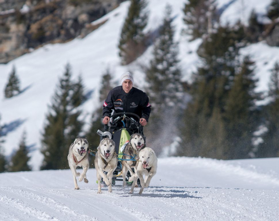 20180304_fmt_Schlittenhunderennen_pp17.jpg