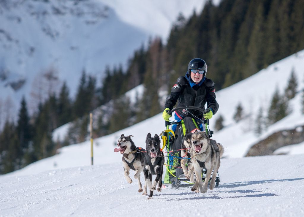 20180304_fmt_Schlittenhunderennen_pp19.jpg