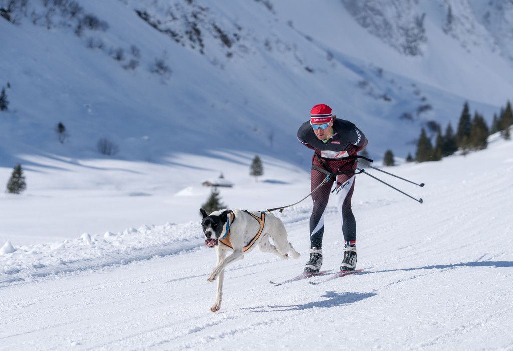 20180304_fmt_Schlittenhunderennen_pp20.jpg