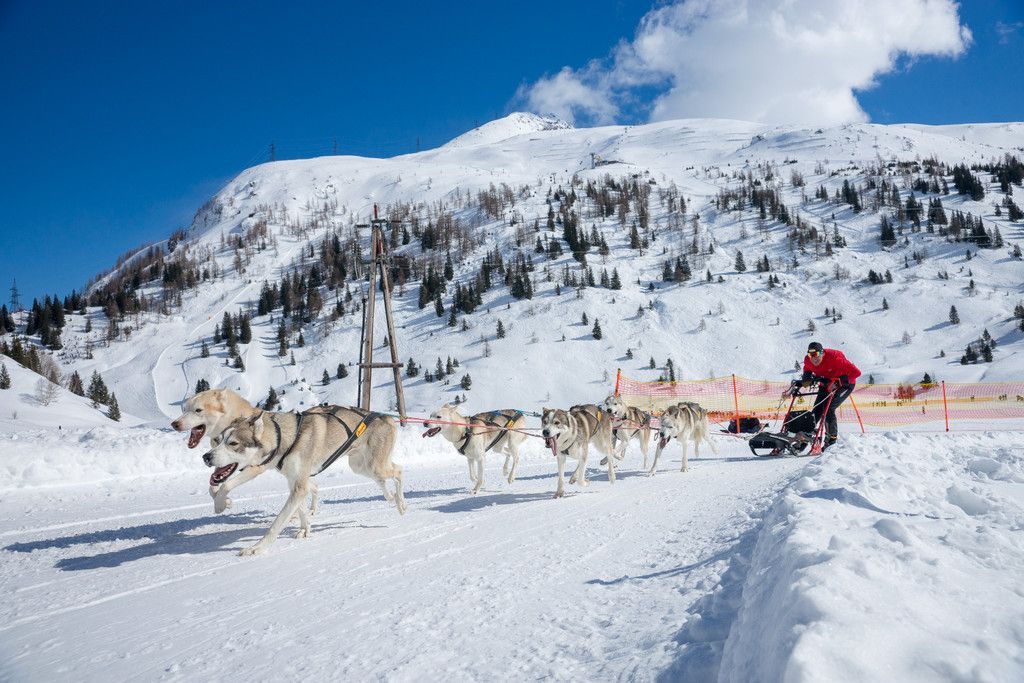20180304_fmt_Schlittenhunderennen_pp22.jpg