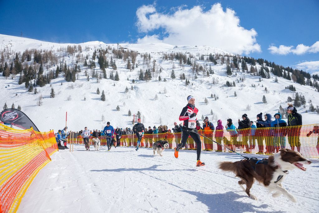 20180304_fmt_Schlittenhunderennen_pp31.jpg