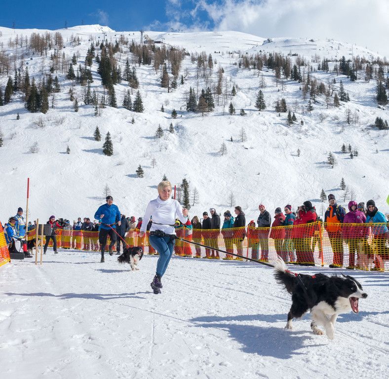 20180304_fmt_Schlittenhunderennen_pp33.jpg