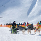 20180304_fmt_Schlittenhunderennen_pp36.jpg