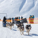20180304_fmt_Schlittenhunderennen_pp37.jpg