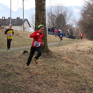 IMG_8217.JPG