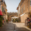 alcudia-2104417.jpg