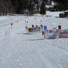IMG_4437.JPG