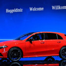 AFP_12159L.jpg