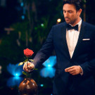 Der Bachelor - das große Finale