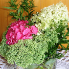 DSC01125.JPG