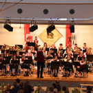 Fr__hjahrskonzert HM Wald a_ A_ 2018 _16_.jpg