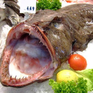 seadevil2.jpg