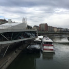 IMG_9935.JPG
