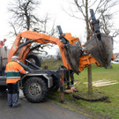 20180313 Baumverpflanzung Volksschule Haselstauden 3.JPG