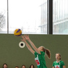 IMGP3840 _Large_.JPG