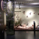 Museumswelten2018-03-09_17-11-07.jpg