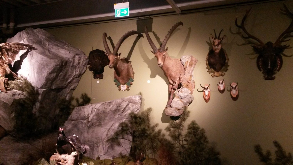 Museumswelten2018-03-09_17-11-53.jpg