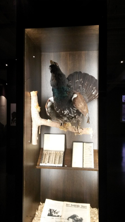 Museumswelten2018-03-09_17-15-18.jpg
