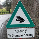 Amphibienwanderung-Verkehrshinweis_Kyek-Martin02.jpg