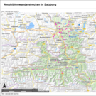 Karte Amphibienwanderstrecken Salzburg.png
