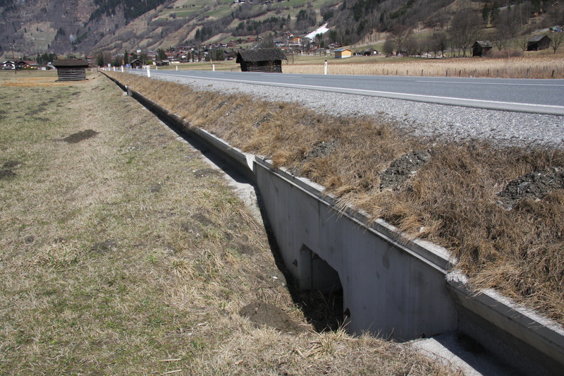 TLA Patschgwiese_Kyek Martin.jpg