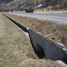 TLA Patschgwiese_Kyek Martin.jpg