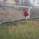 Zaunbetreuung_Kyek Martin.jpg