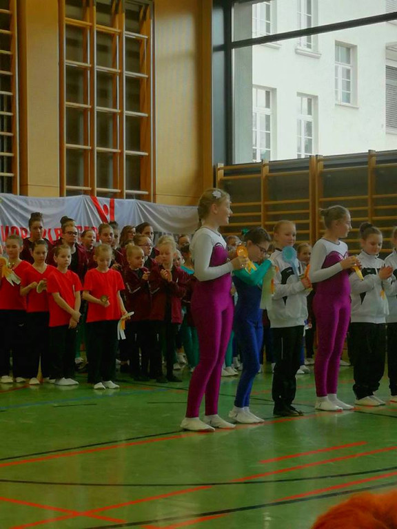Turnhallenturnier 14_3_20183.jpg