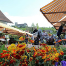 Wolfurter Markt 9.jpg