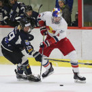 Salzburg vs. Dornbirn