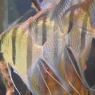 DSC_0910.JPG