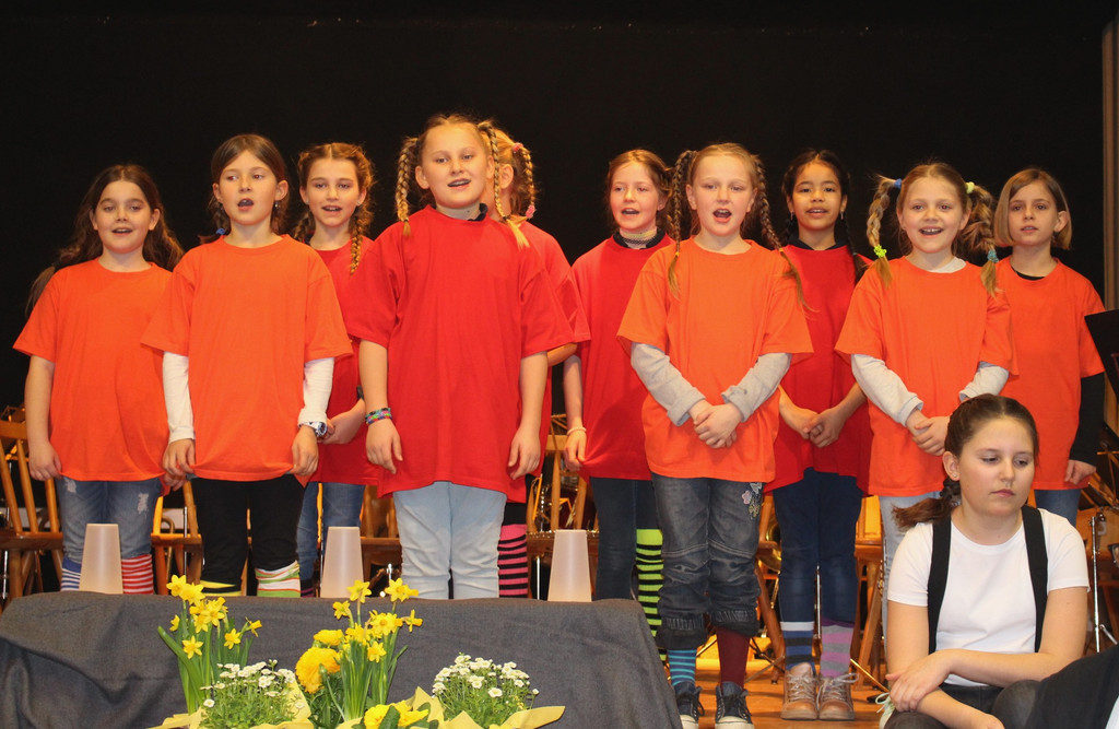 Gemeinschaftskonzert MUSISCHE VEREINE Konzert 18-03-2018 _4_.JPG