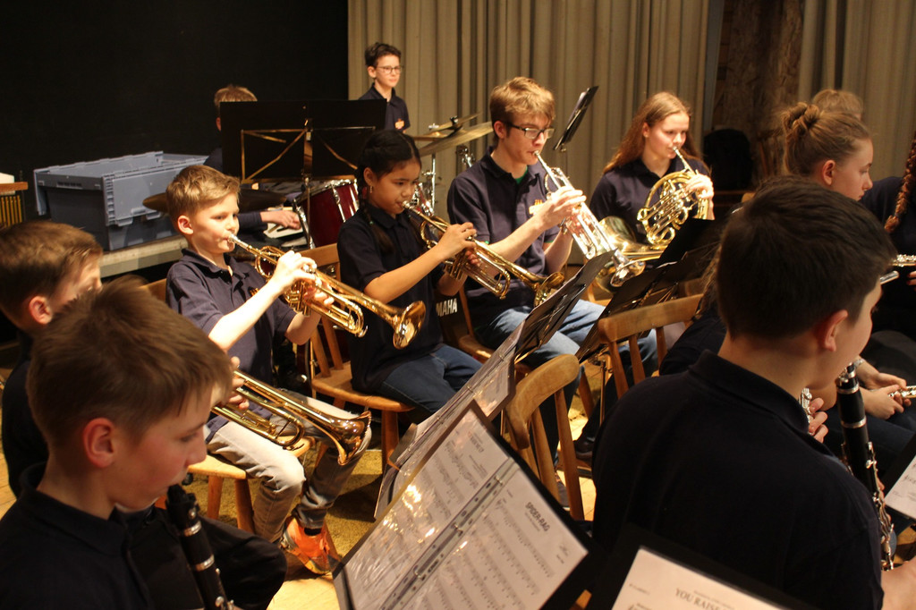 Gemeinschaftskonzert MUSISCHE VEREINE Konzert 18-03-2018 _24_.JPG