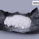 Kokain 2.jpg