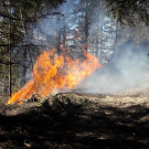 Waldbrand in St. Michael